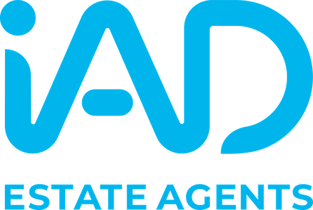 David Lee logo