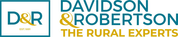 Davidson logo