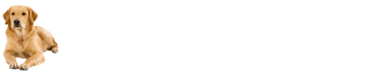 David Wilson Homes logo