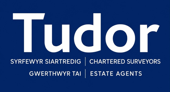 Tudor & Co logo